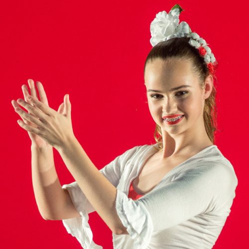 Academia Fernanda Canossa - modalidade - Flamenco - docente